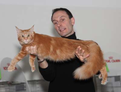 �������� ����� '������� ���-�����' 30 ������-1 ������� 2013., ������������ ��� 2205